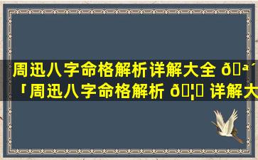 周迅八字命格解析详解大全 🪴 「周迅八字命格解析 🦍 详解大全视频」